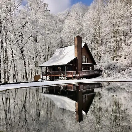 Bumble Bee Cabin